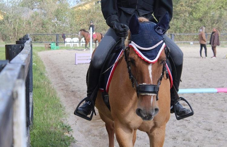 Anden særlig race Soffy billede 7