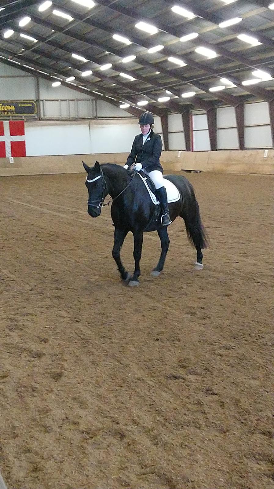 Oldenborg Bolero - 3-11 2018 billede 12