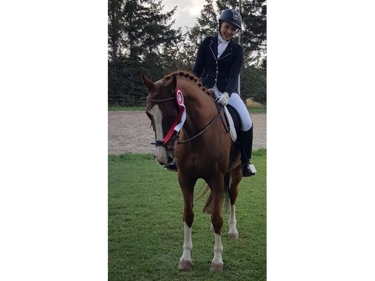 {{currentPhoto.altText}} billede {{currentPhoto.number}}