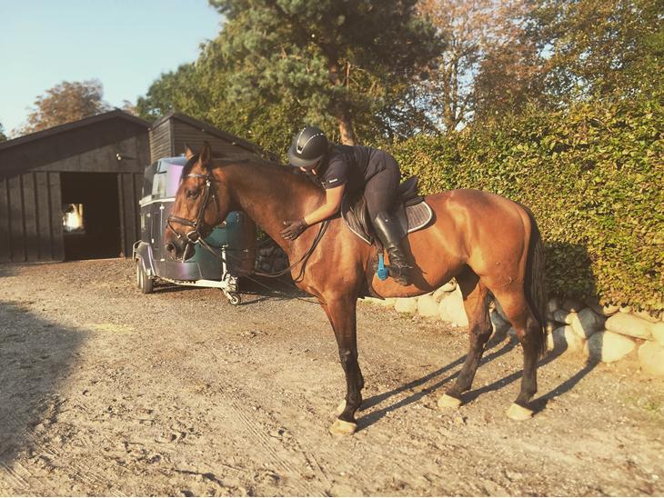 {{currentPhoto.altText}} billede {{currentPhoto.number}}