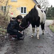 Anden særlig race Rasmus klump