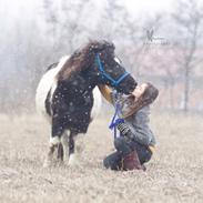 Anden særlig race Rasmus klump