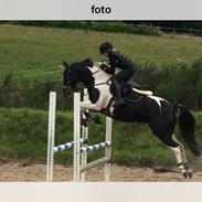 DSP Svanens Pokahontas