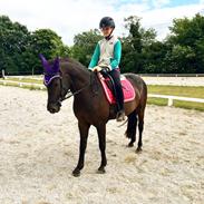 Anden særlig race Infinity