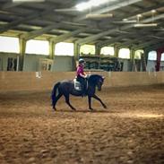 Anden særlig race Infinity