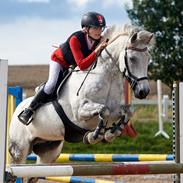 Irsk Sportspony Oldcastle Misty 