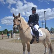 Fjordhest Ll. daurups bonnie