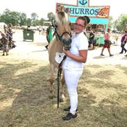 Fjordhest Ll. daurups bonnie