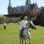 Anden særlig race Lagunegaardens Josefine