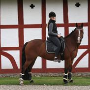 Anden særlig race Cassie