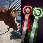 DSP Baskærlunds magic whisper