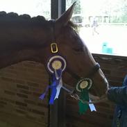 DSP Baskærlunds magic whisper