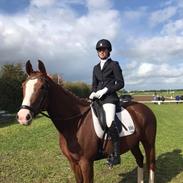 DSP Baskærlunds magic whisper