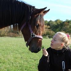 Anden særlig race Leitner's Miley (Lille My)