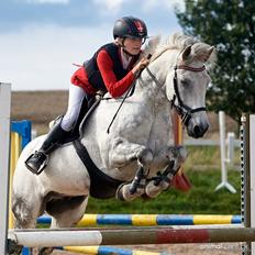 Irsk Sportspony Oldcastle Misty 