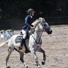 Irsk Sportspony Oldcastle Misty 