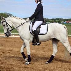 Connemara Thamdrup's real joy