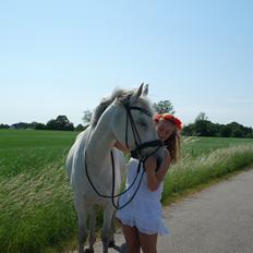 Anden særlig race Tequila 