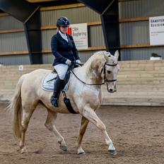 Palomino Lando Blue *PANDA*