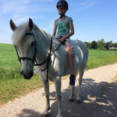 Connemara Monaboy Princess 