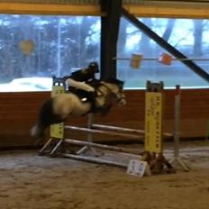 Anden særlig race Wupti