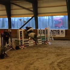 Anden særlig race Wupti