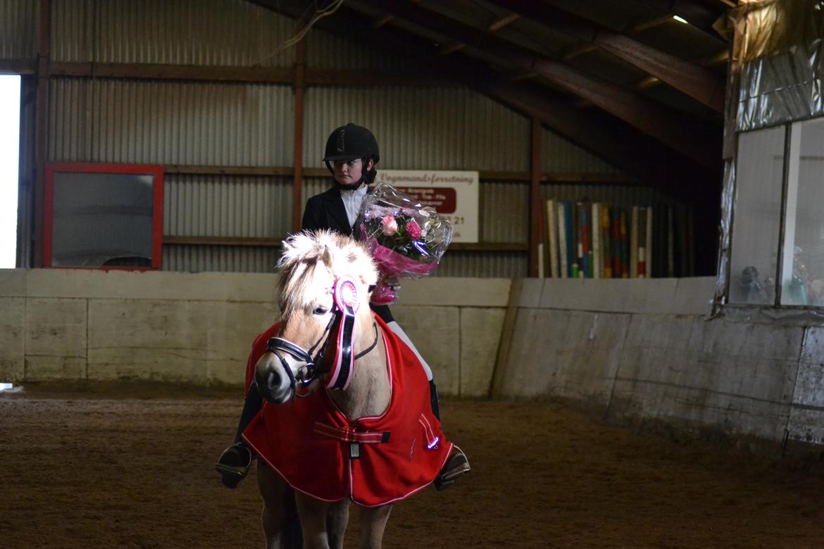 Fjordhest Mille hellumlund - Elevmester 2018  27/10-2018 billede 5