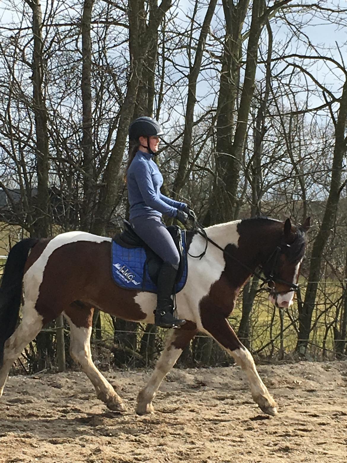 Anden særlig race Huxi  tidl. Lånepony billede 19