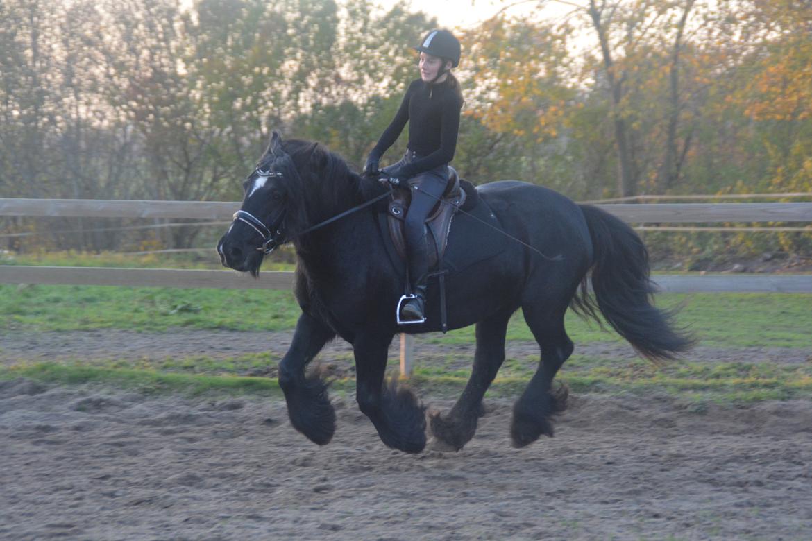 Tinker Nell billede 20