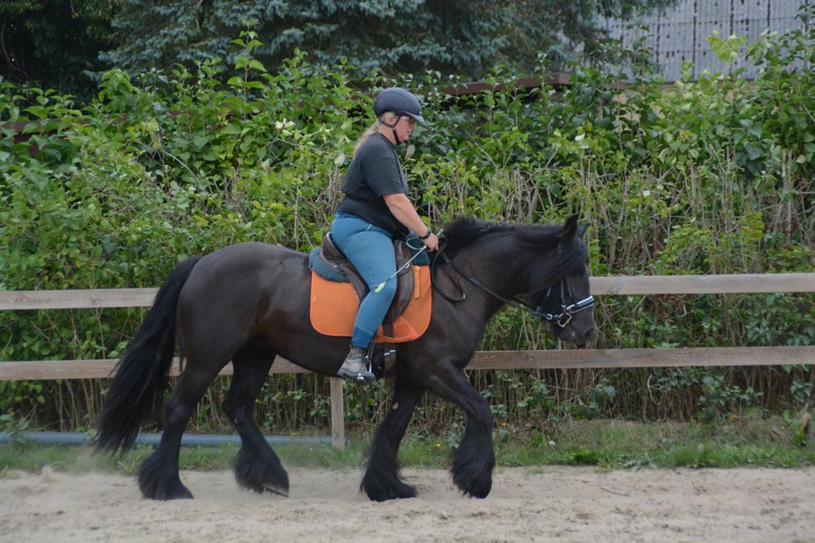 Tinker Nell billede 6