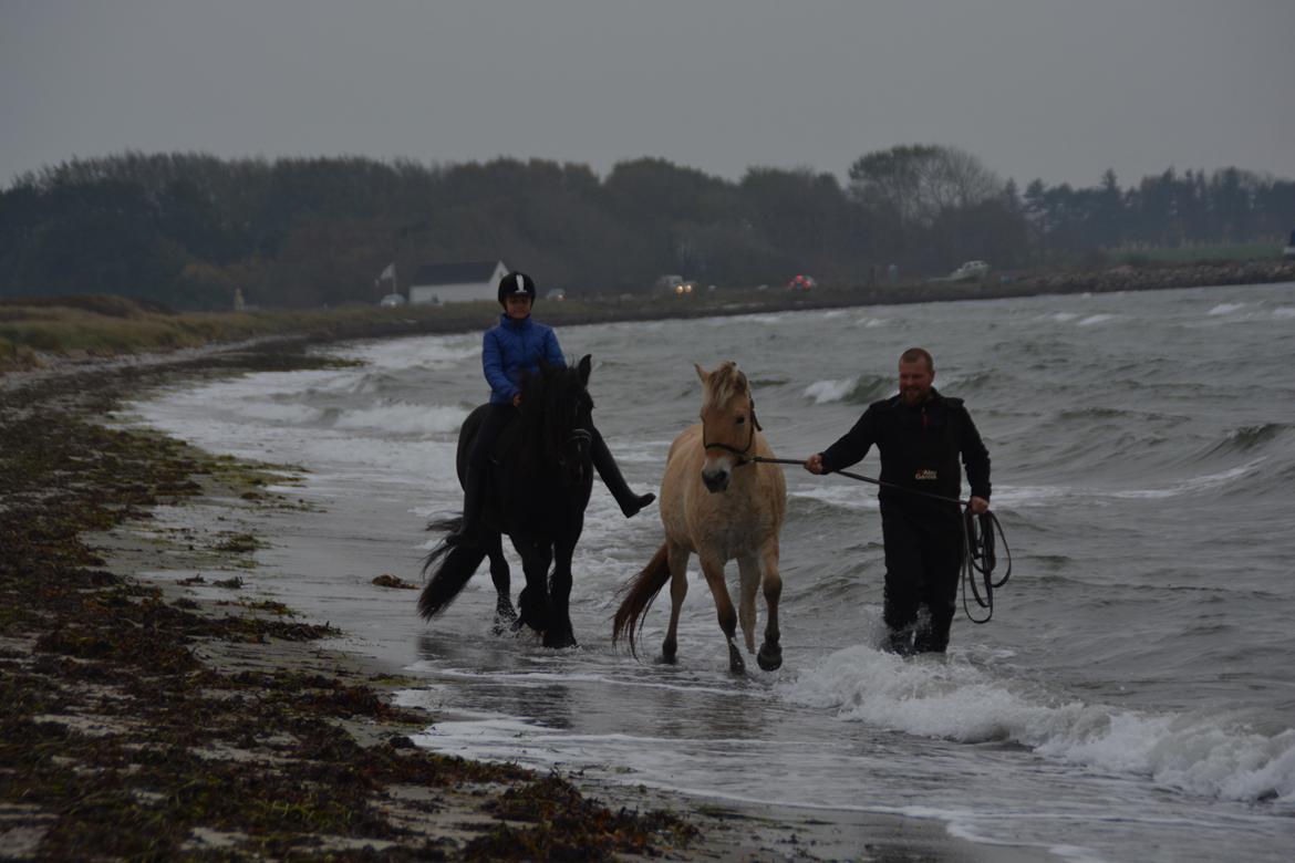 Tinker Nell - Min ven Trille og jeg ved vandet  billede 10