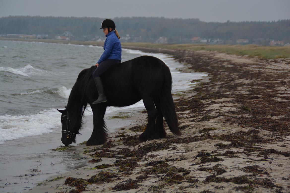 Tinker Nell billede 34