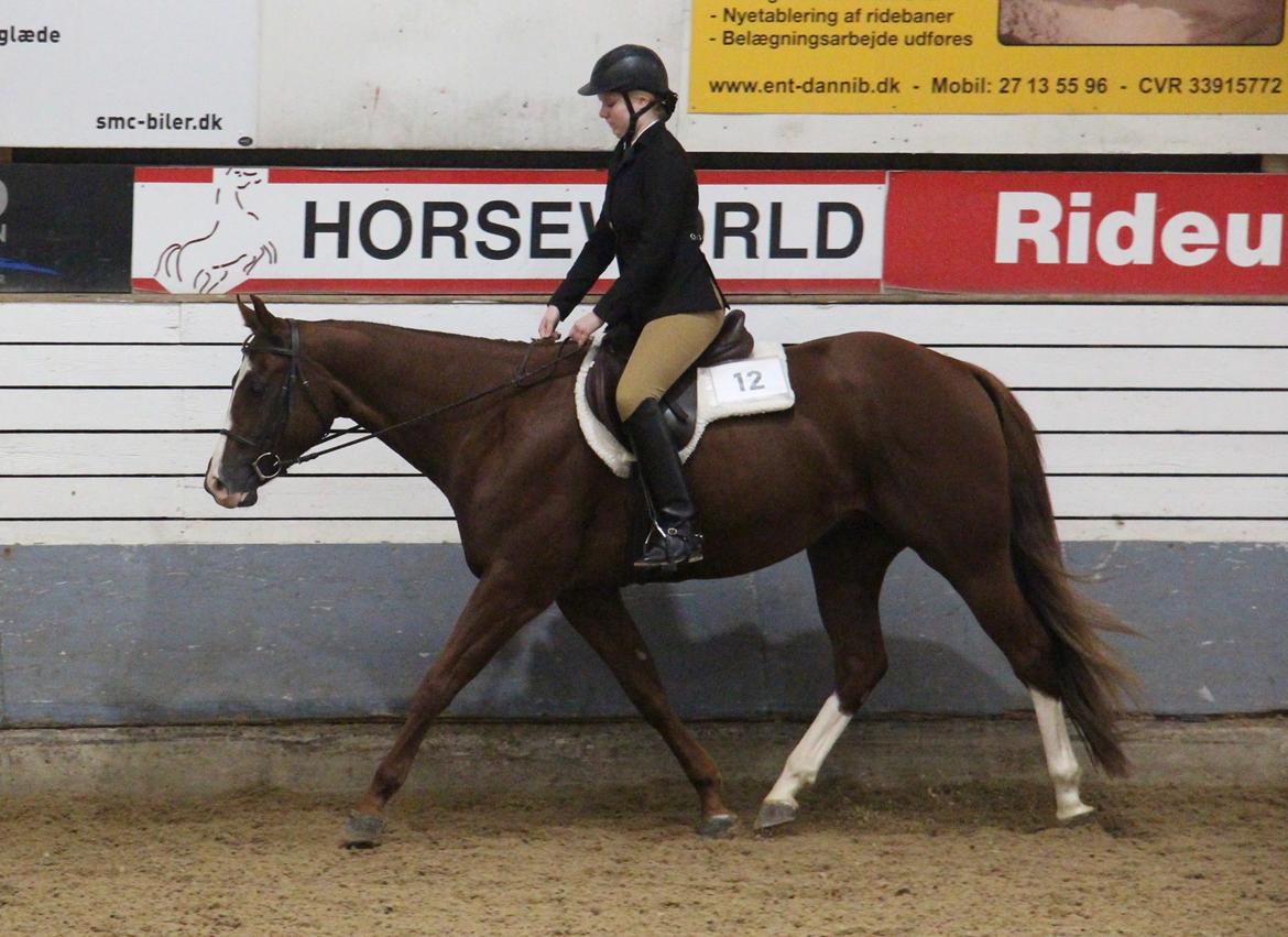 Paint Radicalackoflace billede 14