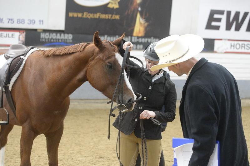 Paint Radicalackoflace - Credit: taselvfoto, John Jensen billede 16