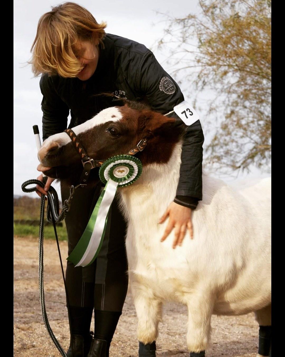 Miniature Pepsi - 21-10 2018 billede 1