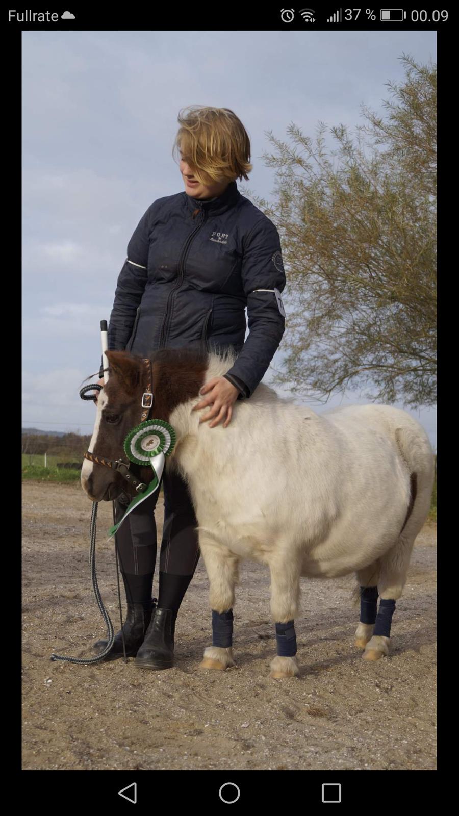 Miniature Pepsi - 21-10 2018 billede 8