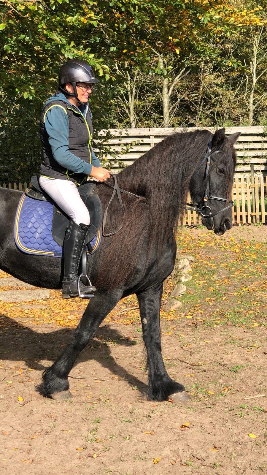 Frieser Franciska billede 6