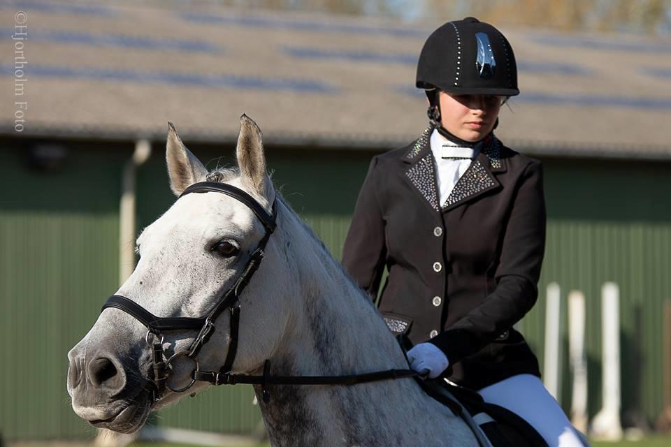 Pura Raza Española Reina CXXXVI billede 1