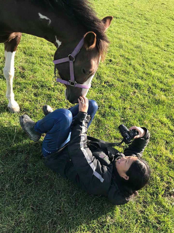 Pinto Ødegårdens Kasandra (Tidl. Lånehest) - Når fotografen lige skal ses an :D billede 20