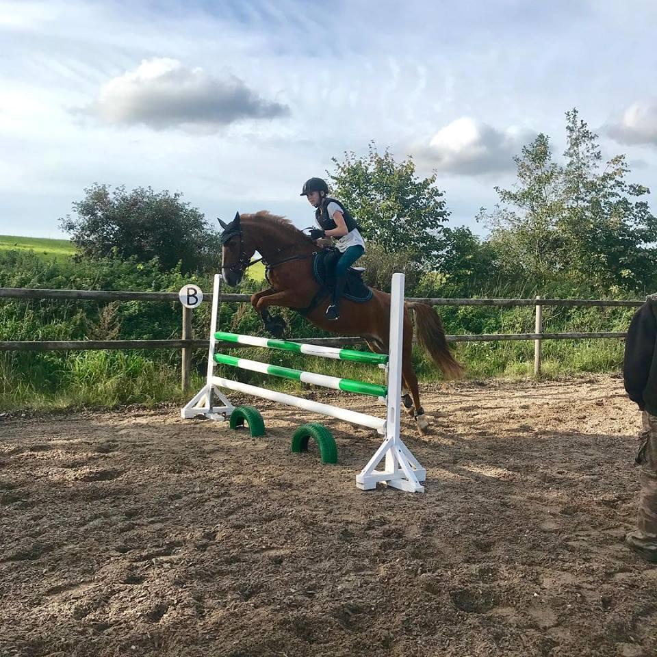 Anden særlig race Bastian (Solgt) - Emilie laver PR på 100 cm på Bastian billede 16