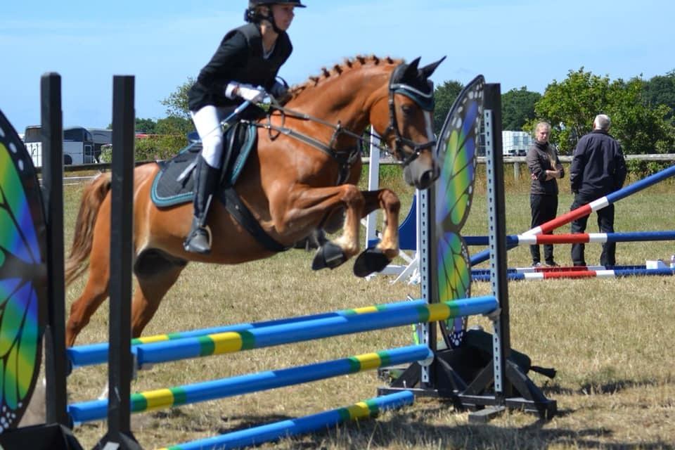 Anden særlig race Bastian (Solgt) - Stilspringning i Hodsager billede 17