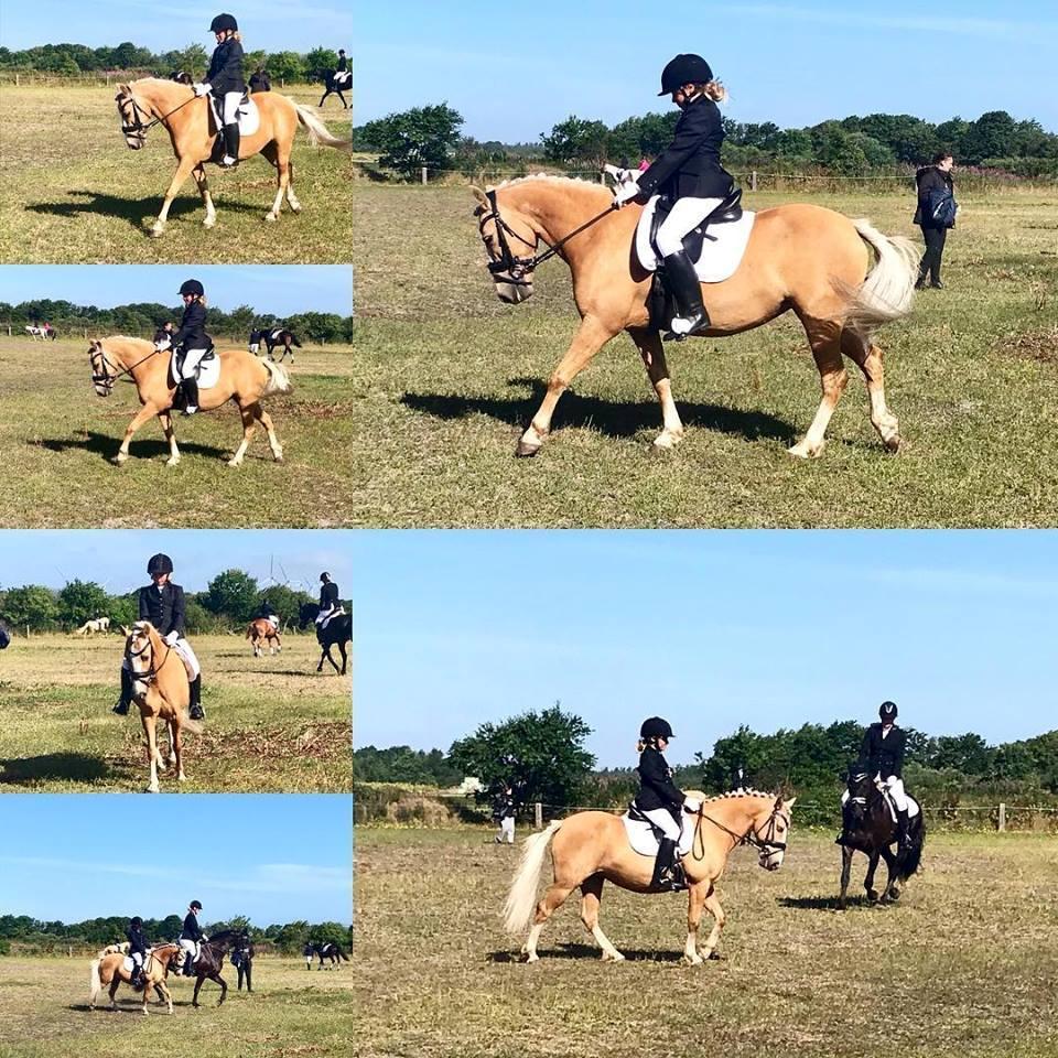 Palomino Victoria (min datters pony) - Silje og Victoria til opvarmning inden deres første udestævne billede 3