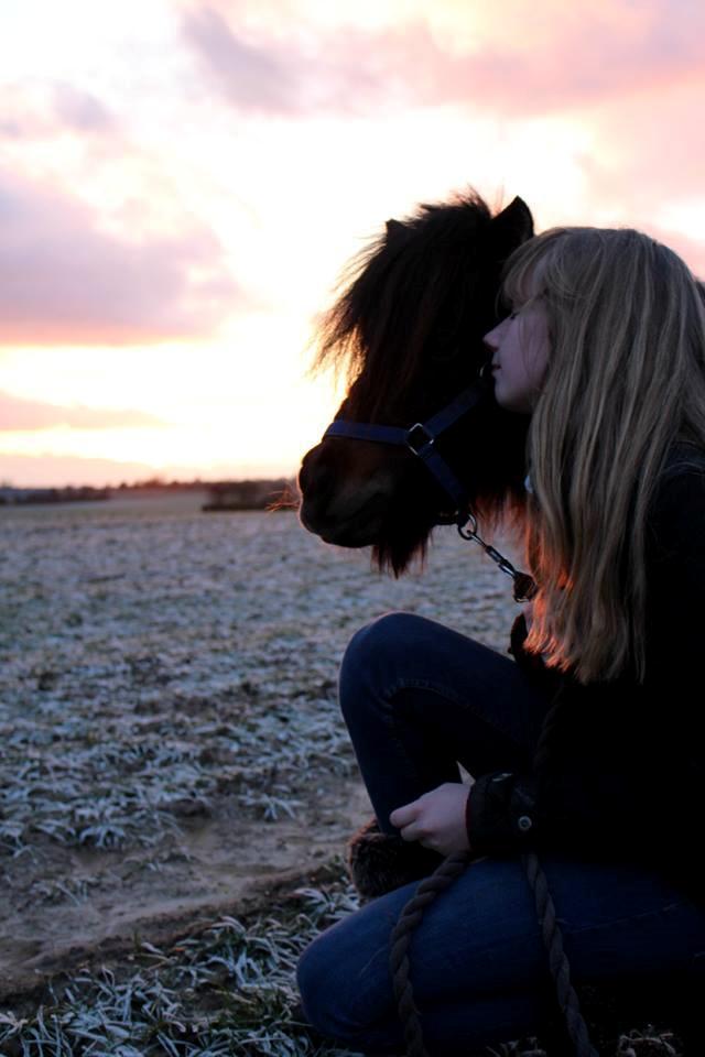 Anden særlig race Tulle (Trold) billede 18