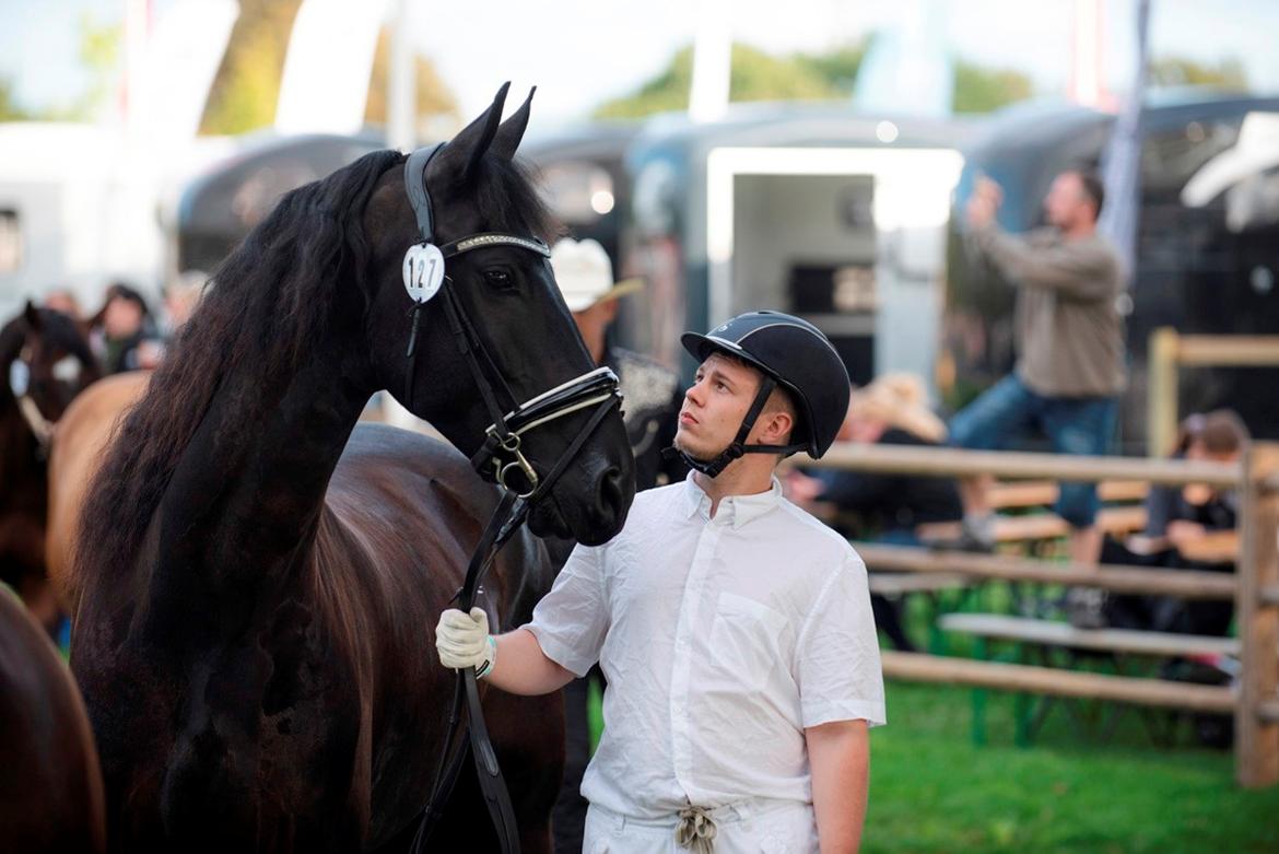 Frieser Stålkærgaards Fritz billede 13