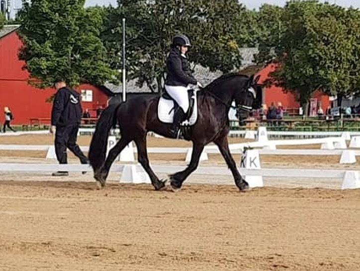 Frieser Stålkærgaards Fritz billede 11