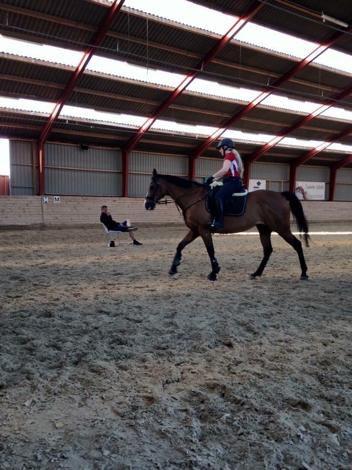 Fuldblod (XX) Flyin Dane (Fabian) billede 19