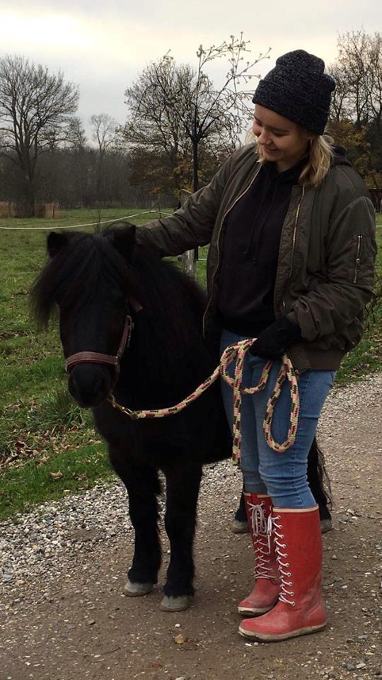 Shetlænder Fresia af veddinge - Fresia og mig billede 5