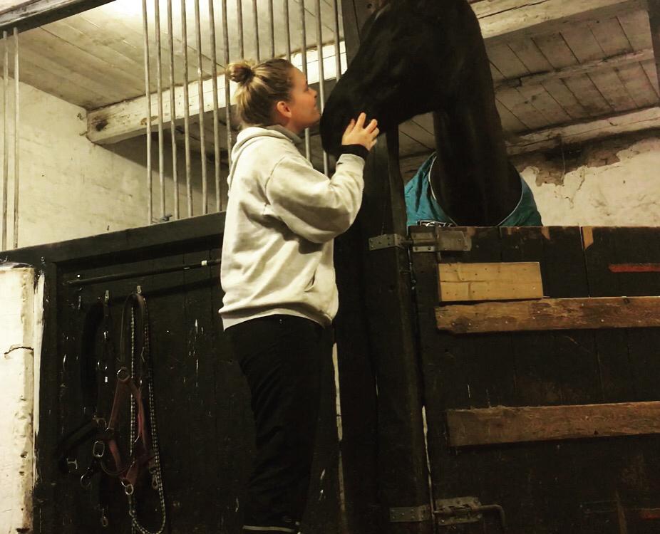 Dansk Varmblod Enghavens DJ billede 3