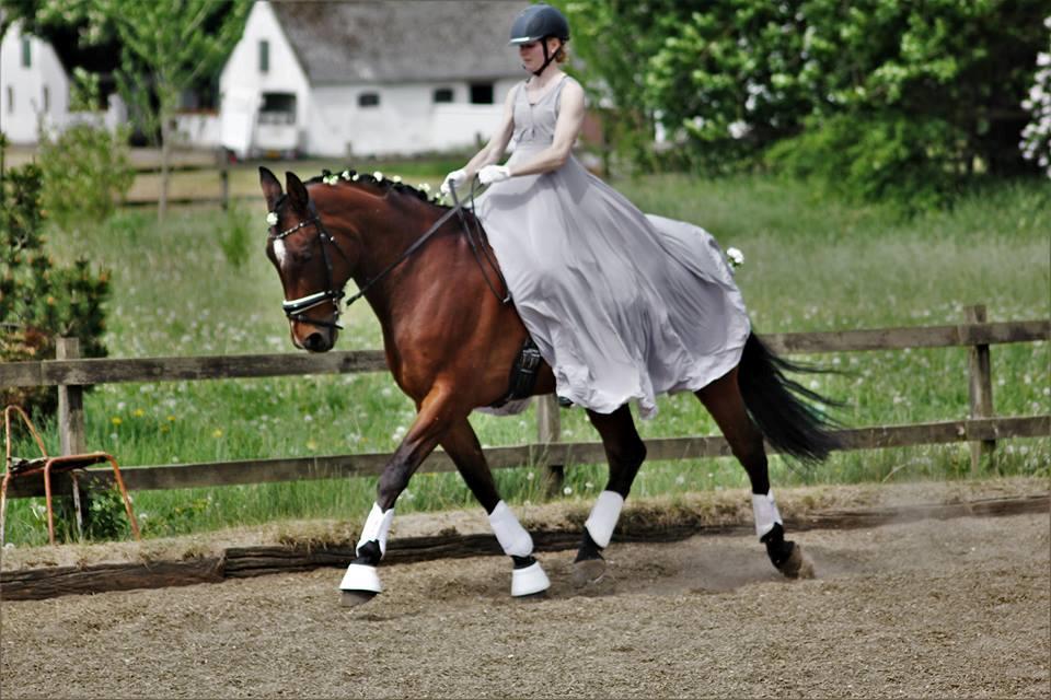 Traver Kenny u.a. - LA kür pinsestævne 2018 billede 5