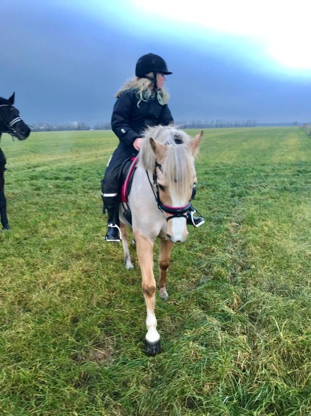 Palomino Victoria (min datters pony) billede 13